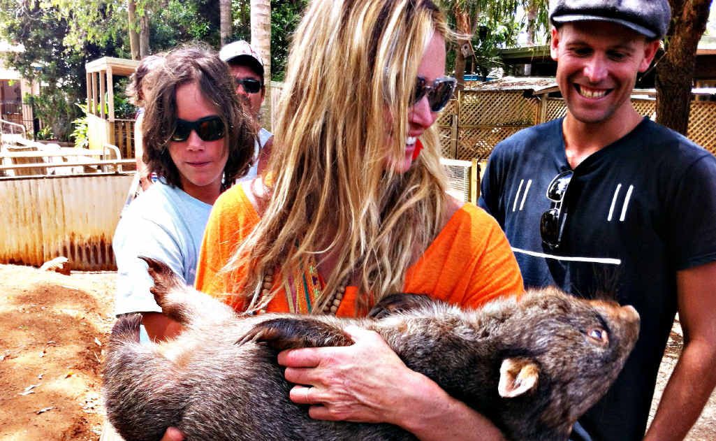 Elle Macpherson nursing Diesel the wombat at the Macadamia Castle. Elle Macpherson nursing Diesel the wombat at the Macadamia Castle.